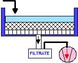 F11a Gravity and Vacuum Nutsche