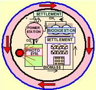 Settlement